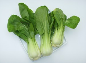 Baby_Pak_Choi_(01)